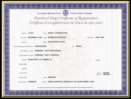Registration